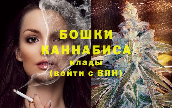 apvp Аркадак